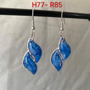 Handgemaakte Klei Oorbelle H77