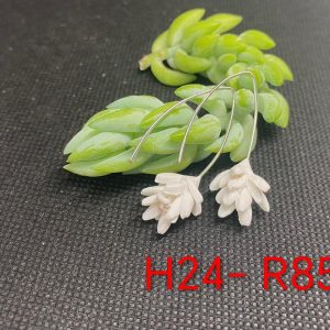 Handgemaakte Klei Oorbelle H24