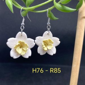 Handgemaakte Klei Oorbelle H76